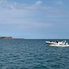 Image 14: Luxury Costal Rib Tour to Babbacombe Bay from Exmouth Marina