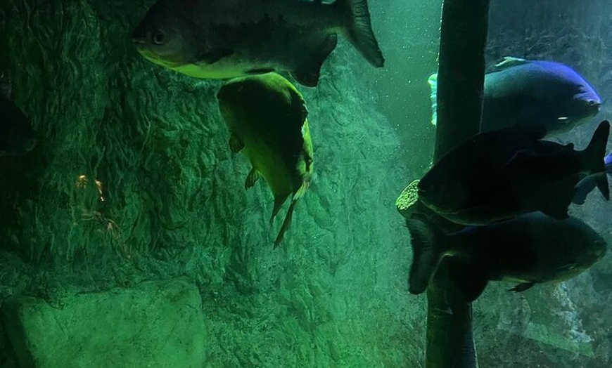 Image 30: Luxury Private Tour in London