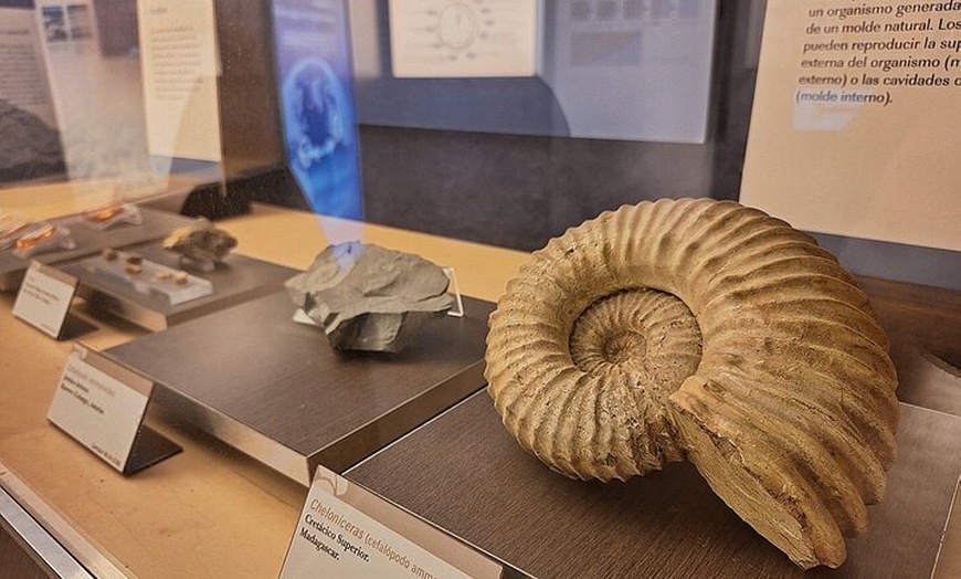 Image 3: Tour por el Museo Jurásico de Asturias desde Oviedo