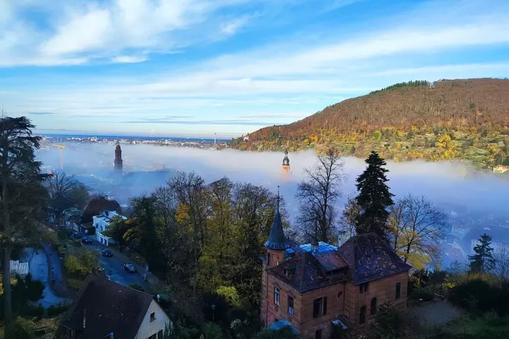 Heidelberger Schlossexpresstour mit Gärten und Weinfass - Image 4