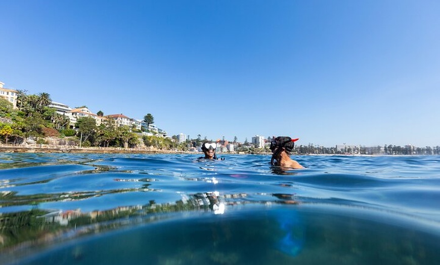 Image 10: Small Group Manly Snorkel Tour and Nature Walk with Local Guide