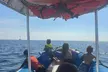 Double Reef Snorkel and Dolphin Watch in Kona - Second Medium