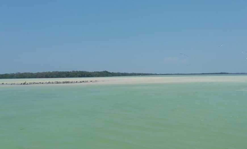 Image 9: Isla Holbox Day Tour from Cancun with Lunch Included