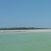 Image 9: Isla Holbox Day Tour from Cancun with Lunch Included