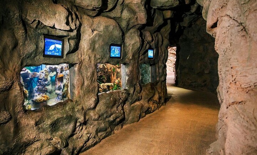 Image 4: Acuario Poema del Mar y Bus TUI Paquete