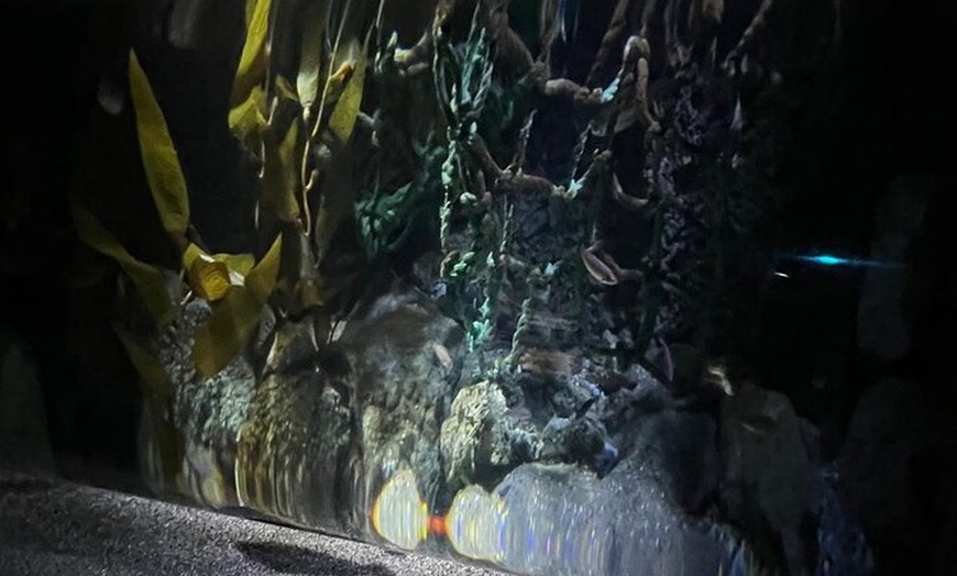 Image 20: London Walking Tour VIP