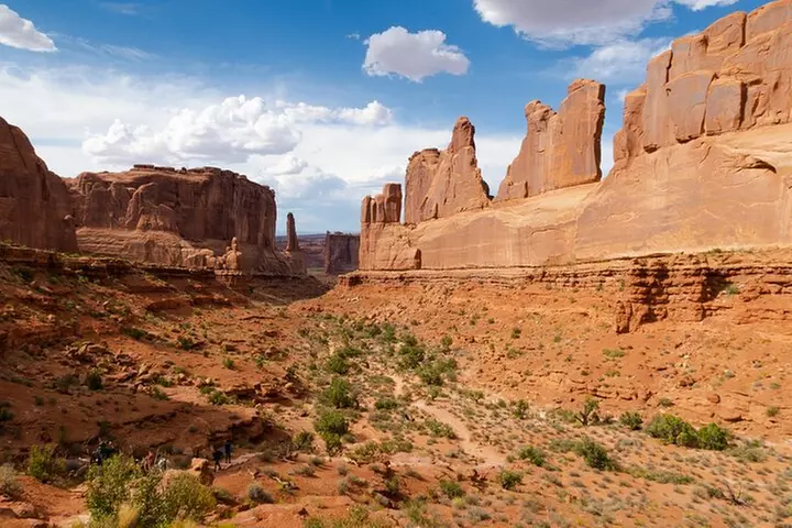 National Park Aerial Safari – 3 Day Private Tour