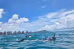 Parasailing and Snorkeling Combo Tour - Second Medium