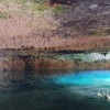 Image 3: Extreme Adventure Eco Park ATV, Zipline and Cenote Experience