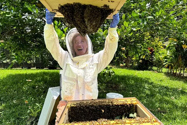 Inside the Hive: Kauai Honey and Bee Tour