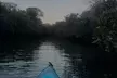 Dolphin Sanctuary Kayak Tours Twilight Mangrove Kayak - Image 2