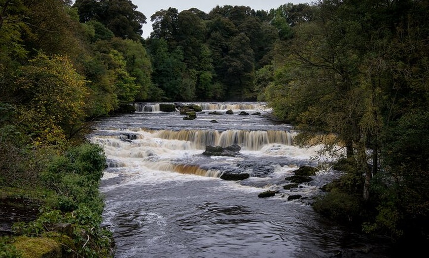 Image 2: All Creatures Great and Small Tour from York