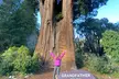Pacific Coast Highlights Trip: San Francisco to Seattle - Second Medium