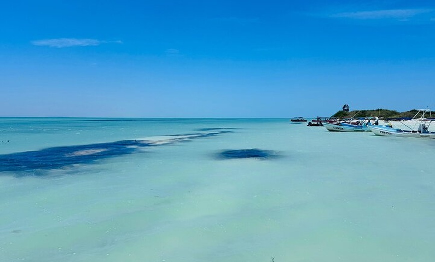 Image 14: Isla Holbox Day Tour from Cancun with Lunch Included