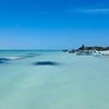 Image 14: Isla Holbox Day Tour from Cancun with Lunch Included