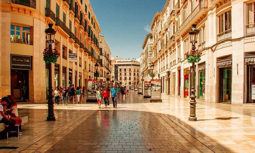 Image 6: Málaga con Catamarán y Mijas pueblo desde Estepona y Marbella
