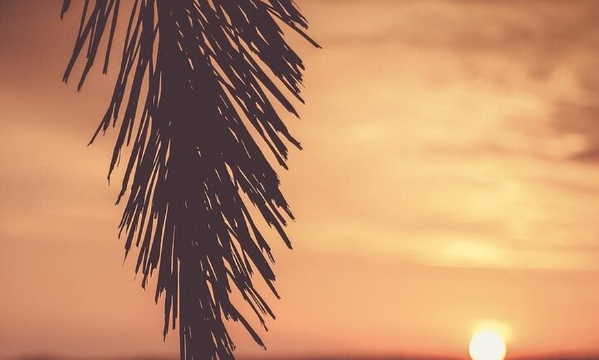 Image 4: Sunset Paddle Board Experience en Jávea España