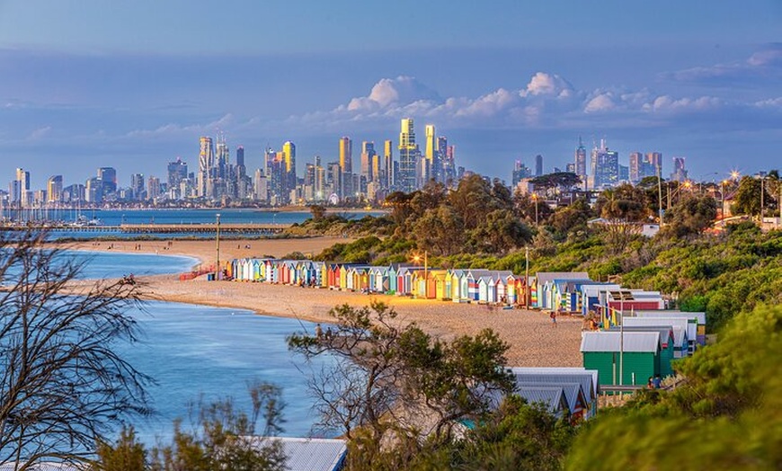 Image 2: Melbourne: Penguin Parade , Koala & Brighton Bathing Boxes