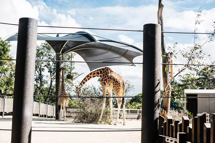 Sydney Taronga Zoo Wild Australia Experience