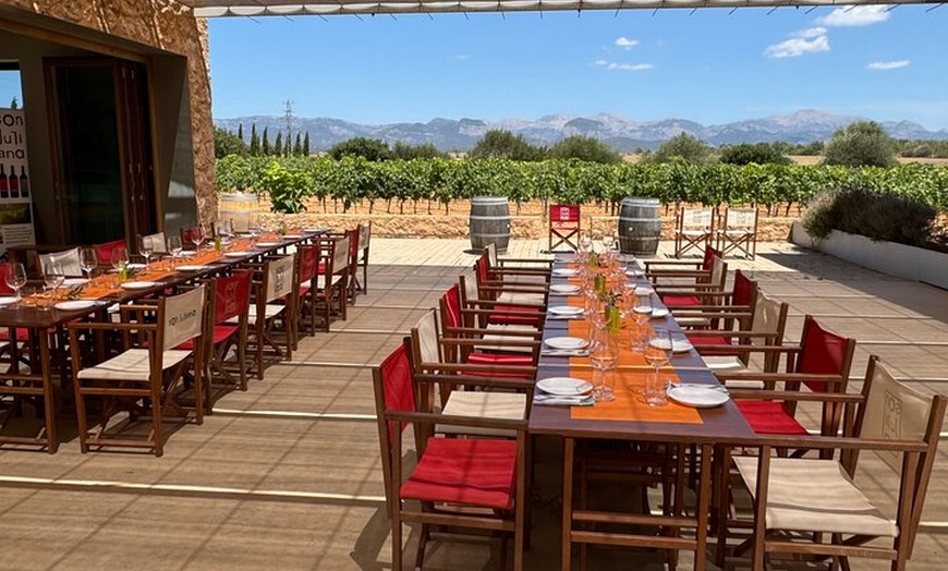 Image 10: AVENIDA WINE EXPERIENCE - Tesoros del vino local