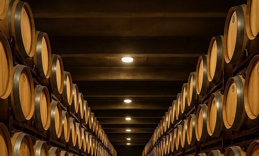 Image 3: Bodega Premium con 7 Catas y Castillo desde Alicante y Benidorm