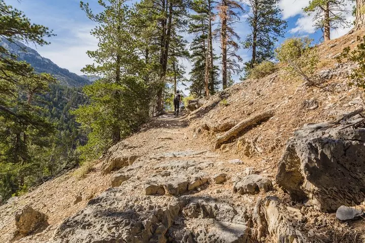 Mount Charleston Tour from Las Vegas