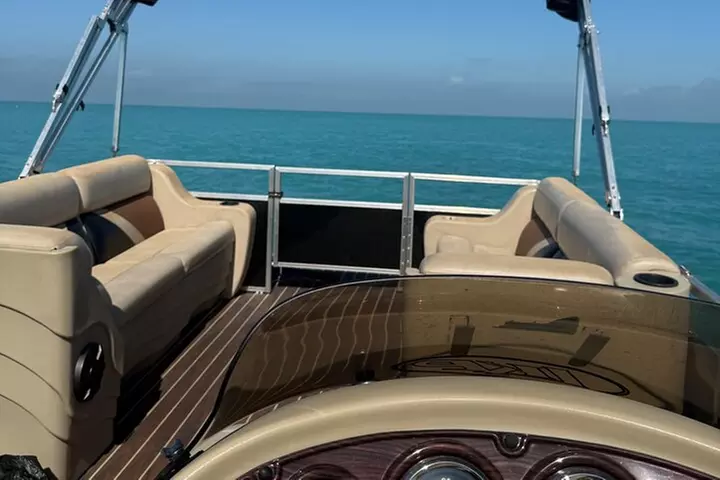 Private 2-Hour Dolphin and Sightseeing Tour