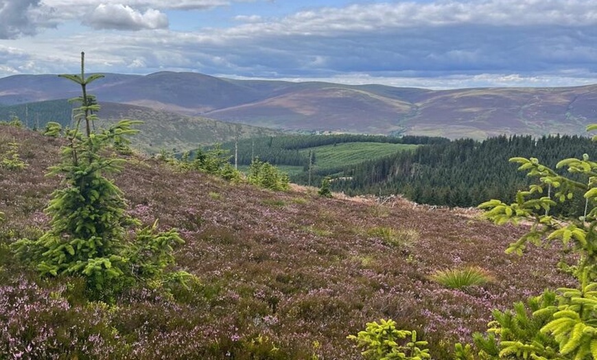 Image 9: Loch Ness Private Tour 360" Cawdor Castle and Cul. Battlefield