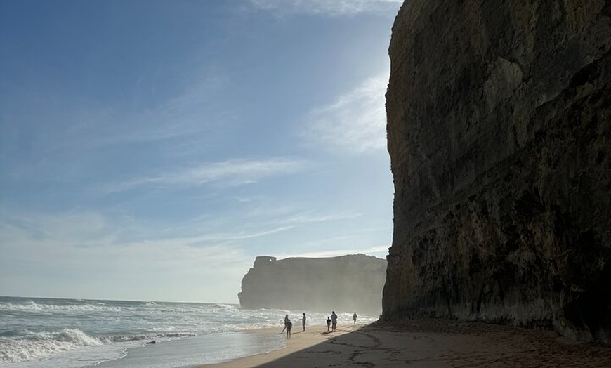 Image 6: Great Ocean Road and 12 Apostles Private Day Tour