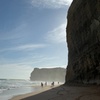 Image 6: Great Ocean Road and 12 Apostles Private Day Tour