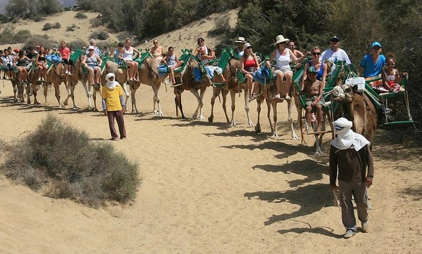 Image 1: Paseos en Camello por las Dunas de Maspalomas