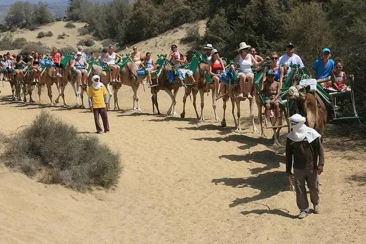 Paseos en Camello por las Dunas de Maspalomas
