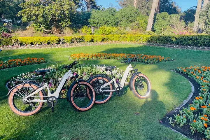 Summer of Love San Francisco Guided eBike Tour Golden Gate Park