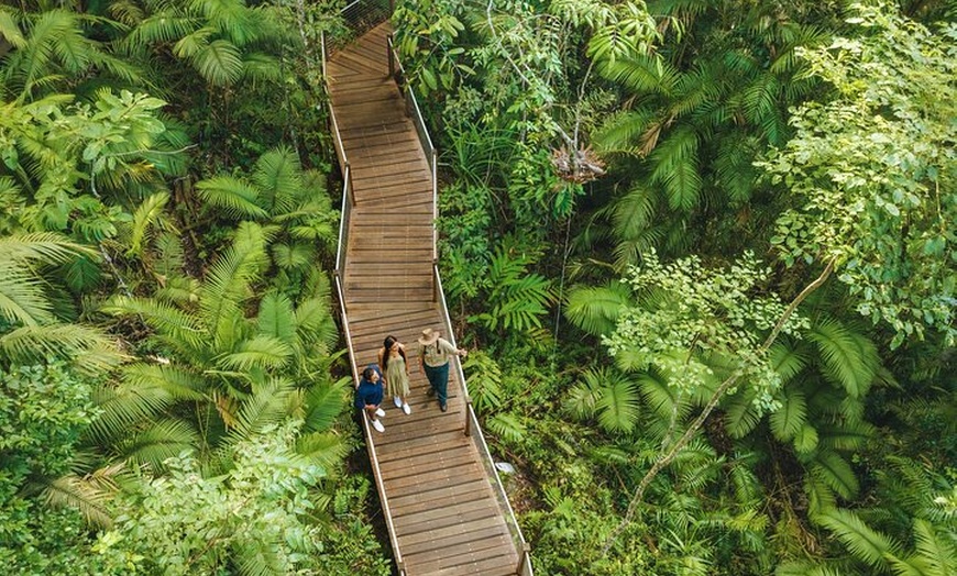 Image 7: 14 Day Tour from Sydney to Cairns Fraser Island and Whitsundays