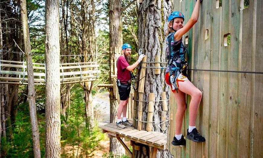 Image 4: Launceston: Hollybank Treetops Adventure - Zipline Tours