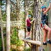 Image 4: Launceston: Hollybank Treetops Adventure - Zipline Tours