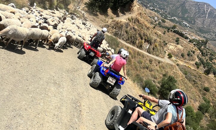 Image 24: 1 Hora de Aventura Guiada en Quads ATV en Mijas Málaga