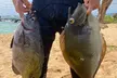 Hawaiian Reef Spearfishing Lesson for Beginners on Kauai - Second Medium
