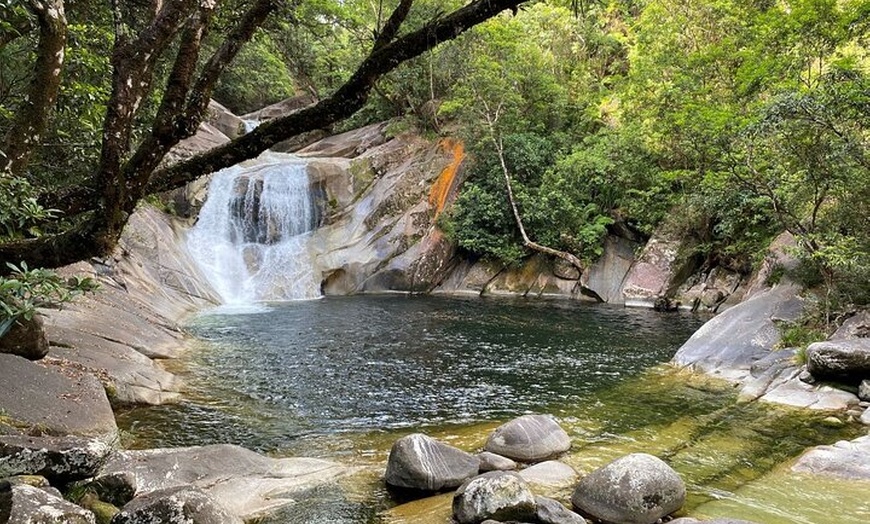 Image 8: Cassowary Coast Goondoi Culture Tour