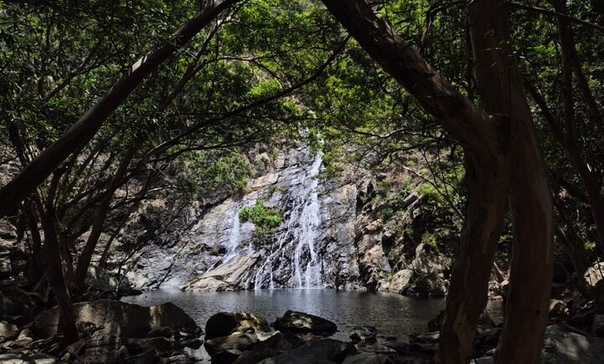 Image 12: Private Luxury Cape Tribulation Adventure and Crocodile Cruise