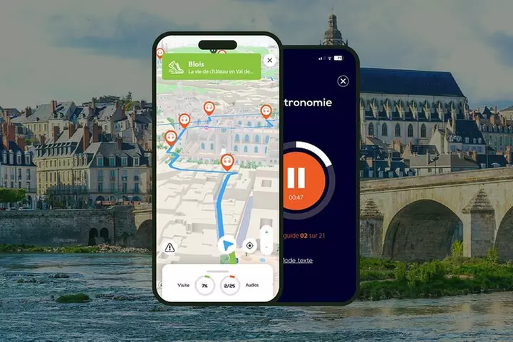 Blois Visite audioguidée à pied 1h45 et 22 commentaires audios - Primary Image