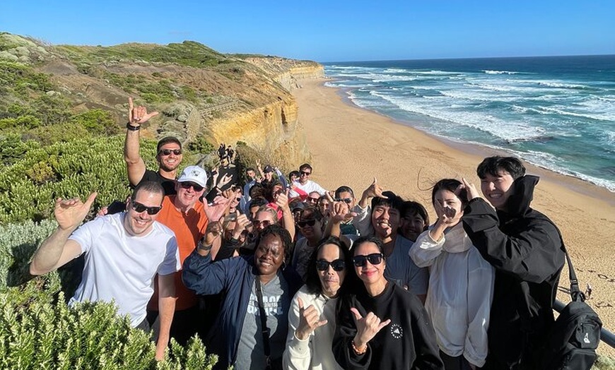 Image 15: Full-Day Great Ocean Road and 12 Apostles Tour