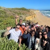 Image 15: Full-Day Great Ocean Road and 12 Apostles Tour