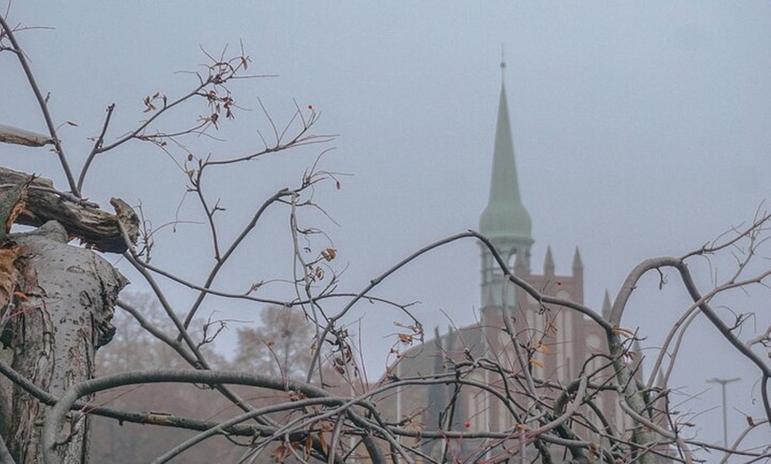 Image 4: Entdecken Sie Stettin: 11 Stunden Tagestour ab Berlin