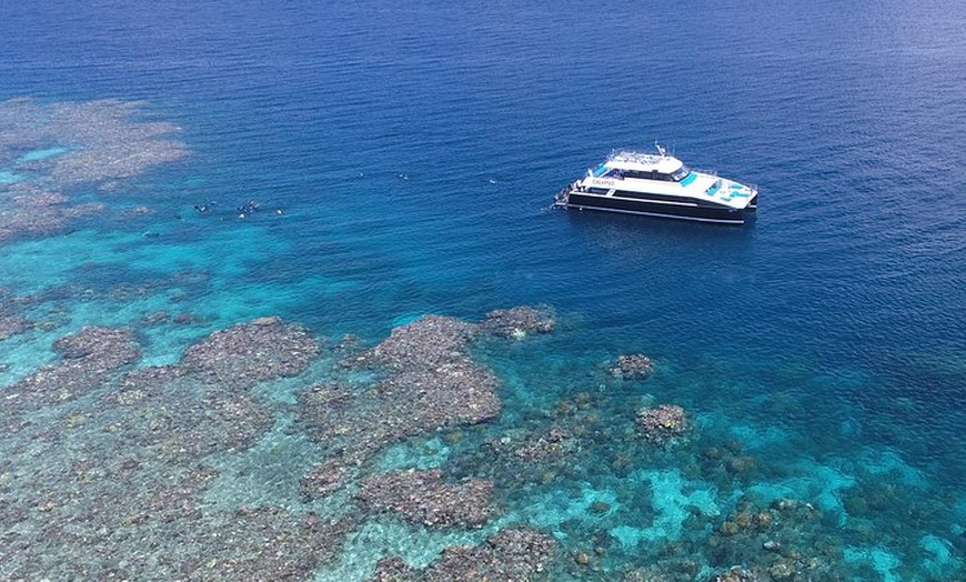 Image 3: Calypso Outer Great Barrier Reef Cruise from Port Douglas