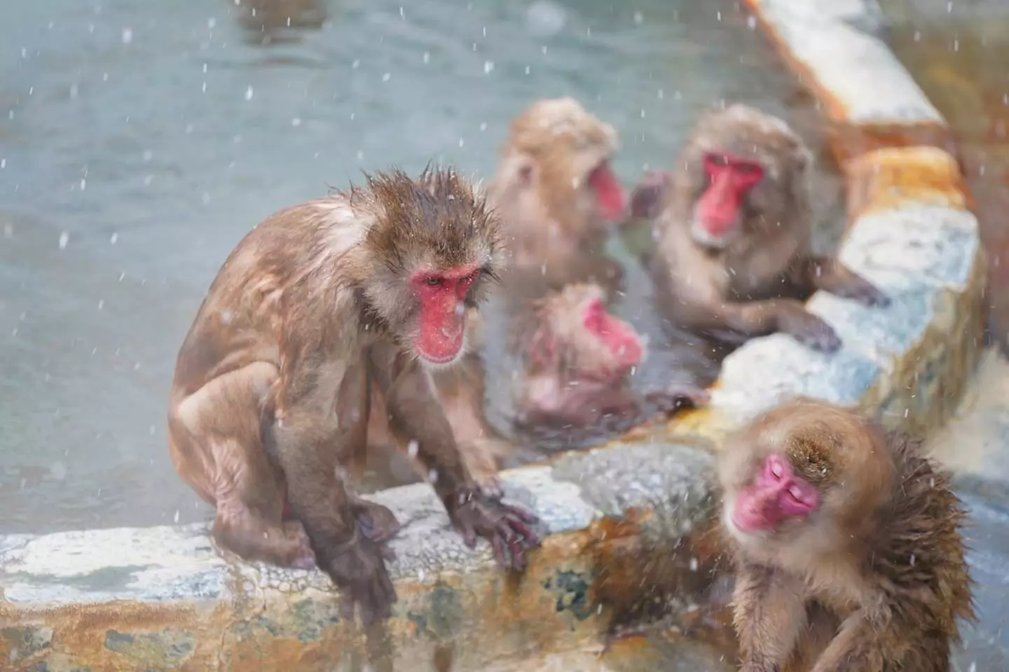 ✈ GIAPPONE | Da Sapporo a Tokyo - Alla scoperta di Hokkaido 3*, 13 ...