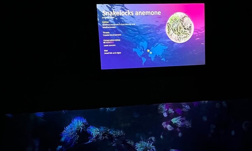 Image 22: London Walking Tour VIP