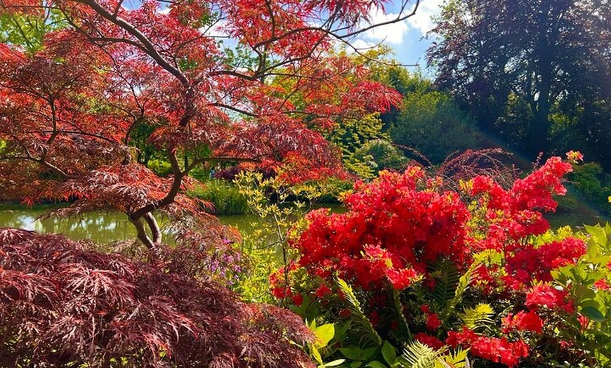 Image 12: Visite privée de Giverny Garden&Versailles au départ de Paris