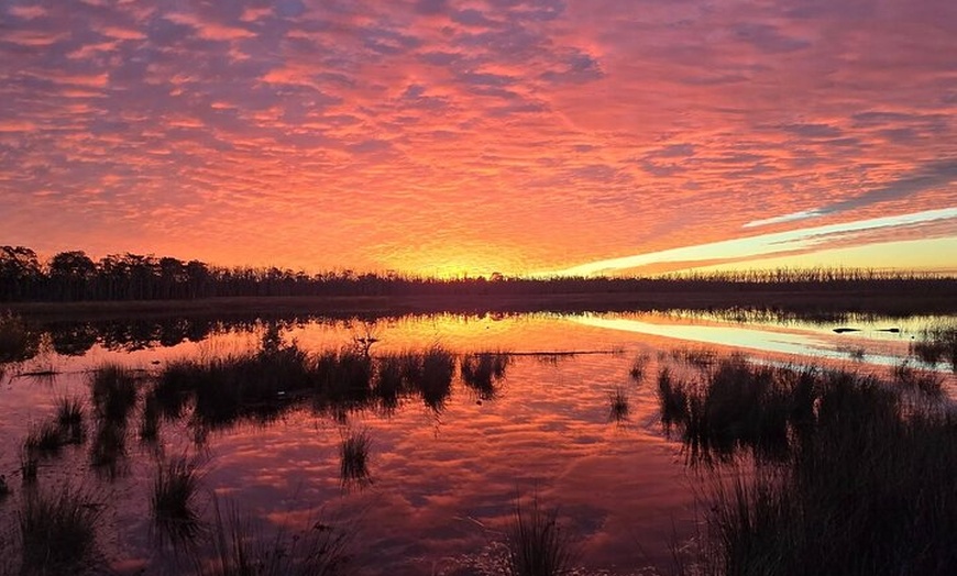 Image 23: Brisbane day trip to Bribie Island