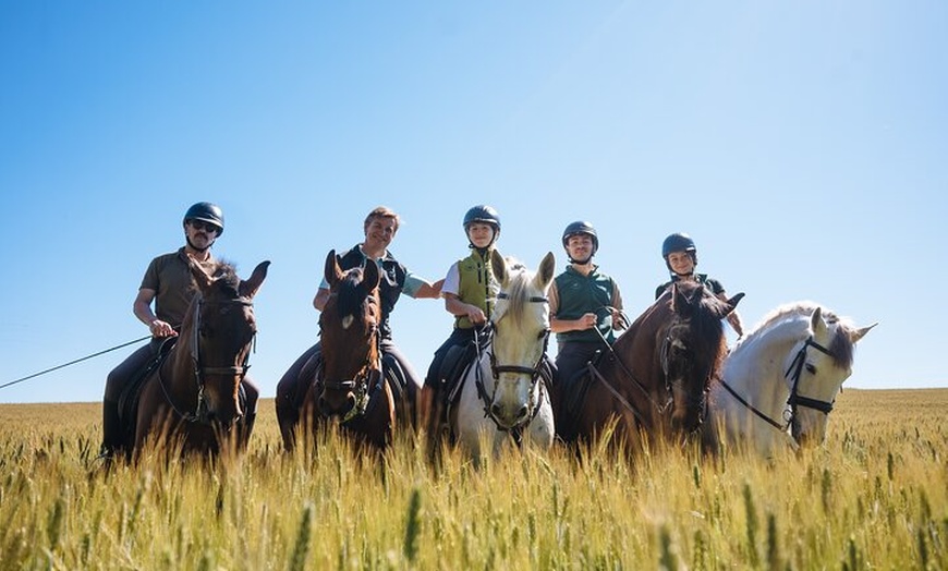 Image 13: Paseos a caballo por el Parque Nacional de Doñana